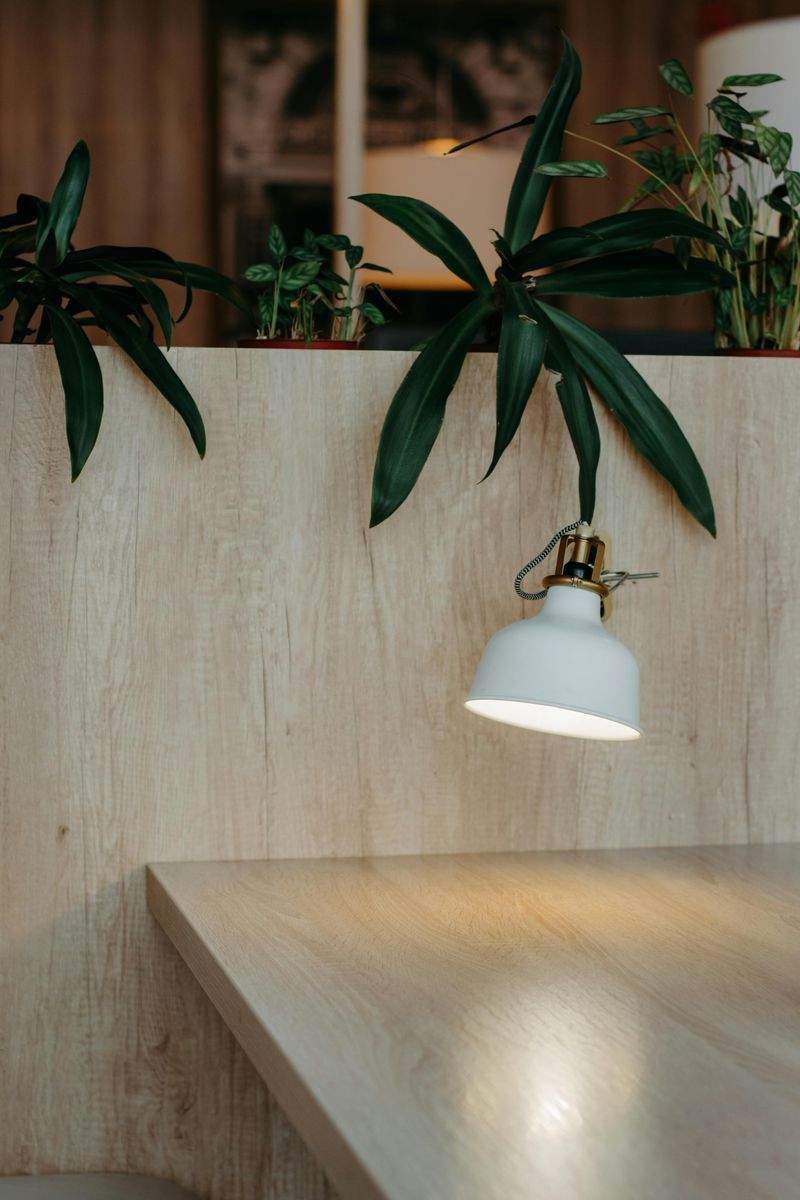 Die Zukunft der Pflanzenbeleuchtung