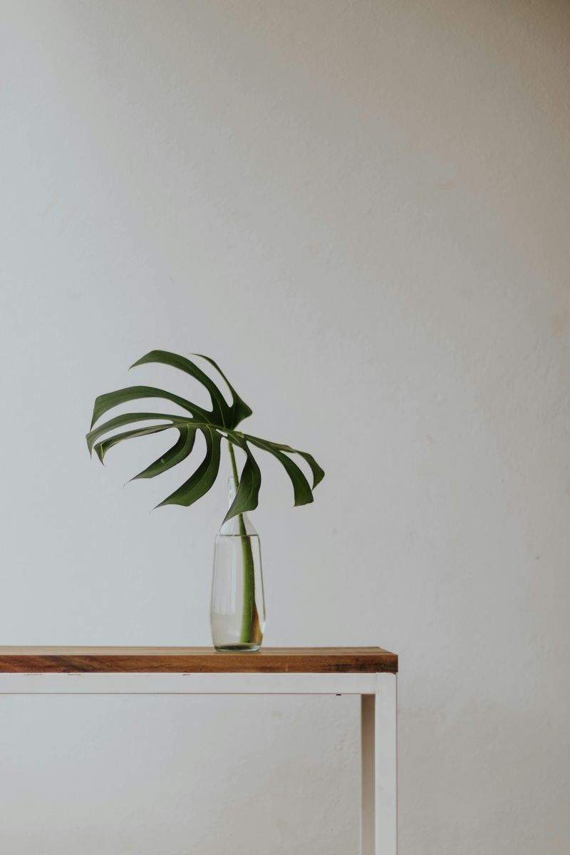 LeuchtBlüte GmbH - Image 14